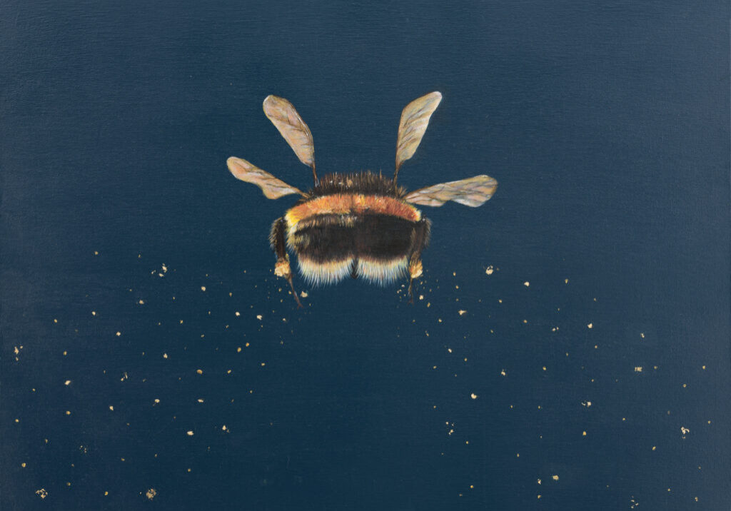 Bye Bye Bee