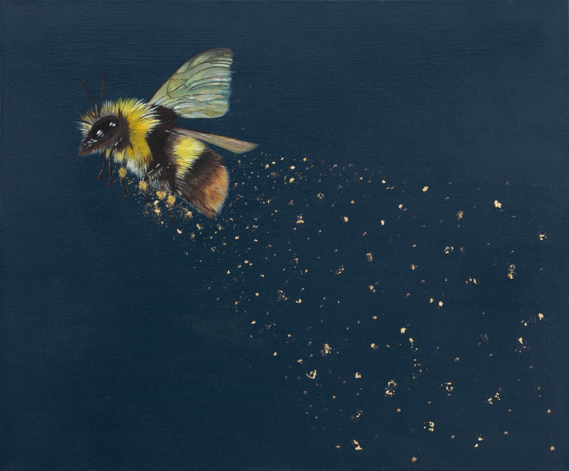 Bee Magic